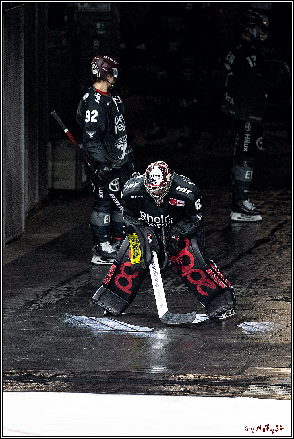 PENNY DEL;  Koelner Haie - Wolfsburg Grizzlys; Koeln, 17.03.2021